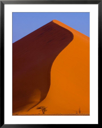 Tree And Soussevlei Sand Dune, Namibia by Joe Restuccia Iii Pricing Limited Edition Print image