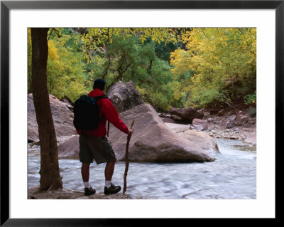 Crossing The Virgin River In The Zion National Park, Zion National Park, Utah, Usa by Cheyenne Rouse Pricing Limited Edition Print image