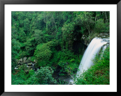 Zillie Falls On Millaa Millaa Waterfall Circuit, Atherton Tablelands, Australia by John Banagan Pricing Limited Edition Print image