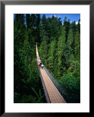 Capilano Suspension Bridge Crossing The Capilano River, Vancouver, British Columbia, Canada by Thomas Winz Pricing Limited Edition Print image