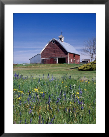 Old Red Barn With Spring Wildflowers, Grangeville, Idaho, Usa by Terry Eggers Pricing Limited Edition Print image