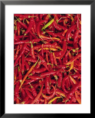 Red Chilli Peppers, Rajasthan, India by Bruno Morandi Pricing Limited Edition Print image