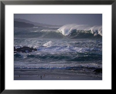 Winter Waves And Shorebirds In Ballyhiernan Bay, Fanad Head, Ireland by Gareth Mccormack Pricing Limited Edition Print image