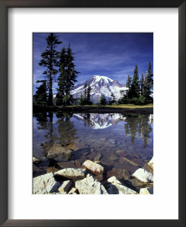 Mt. Rainier Reflected In Tarn, Mt. Rainier National Park, Washington, Usa by Jamie & Judy Wild Pricing Limited Edition Print image