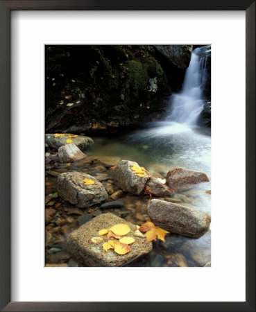 Fall Foliage On The Gorge Trail Of Cadillac Mountain, Maine, Usa by Jerry & Marcy Monkman Pricing Limited Edition Print image