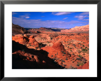 Colorado Plateau, U.S.A. by Mark Newman Pricing Limited Edition Print image