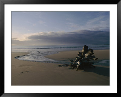Driftwood And Tidal Pools by Sam Abell Pricing Limited Edition Print image