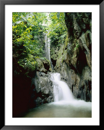 A Forest Waterfall by Roy Toft Pricing Limited Edition Print image