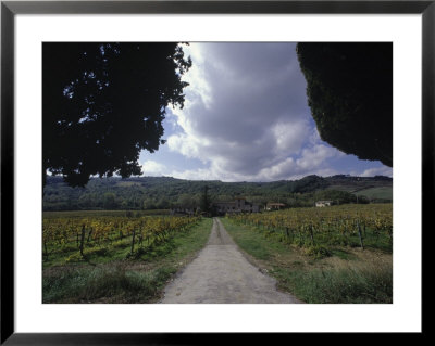 Wine Estate In The Chianti Region, Italy by Ron Johnson Pricing Limited Edition Print image