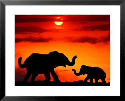 Adult And Young Elephants, Sunset Light by Russell Burden Pricing Limited Edition Print image