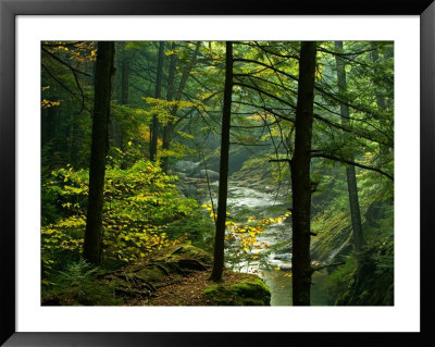 Texas Falls, Vermont, Usa by Joe Restuccia Iii Pricing Limited Edition Print image