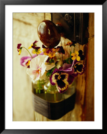 Pansies Hanging On Door Knob by Shaffer & Smith Pricing Limited Edition Print image