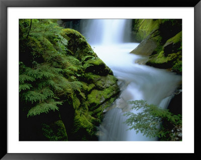 Christine Falls, Mt. Rainier National Park, Wa by Brian Maslyar Pricing Limited Edition Print image
