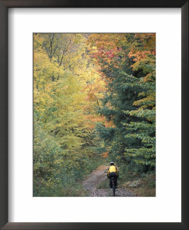 Mountain Biking On Old Logging Road Of Rice Hill, Green Mountains, Vermont, Usa by Jerry & Marcy Monkman Pricing Limited Edition Print image