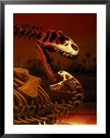 Allosaurus And Camptosaurus, Museum by Mark Gibson Pricing Limited Edition Print image