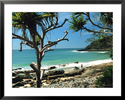 Noosa Heads, Australia by Jacob Halaska Pricing Limited Edition Print image