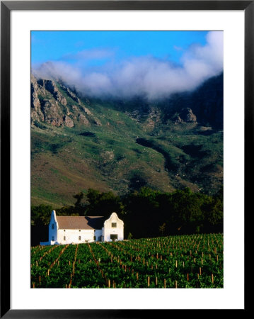 Cape Dutch Colonial Manor House And Vineyard With Mountain Backdrop, Dornier, South Africa by Ariadne Van Zandbergen Pricing Limited Edition Print image