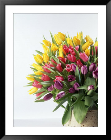 Red Tulips by Michael Marzelli Pricing Limited Edition Print image