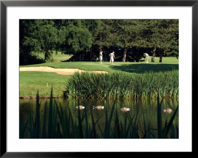 Golfers On The 17Th Hole Of The Eastmoreland Golf Course, Portland, Oregon, Usa by Janis Miglavs Pricing Limited Edition Print image