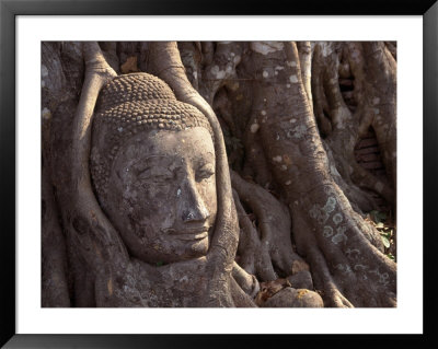 Buddha's Head Encased By Tree, Central Thailand by Rick Strange Pricing Limited Edition Print image