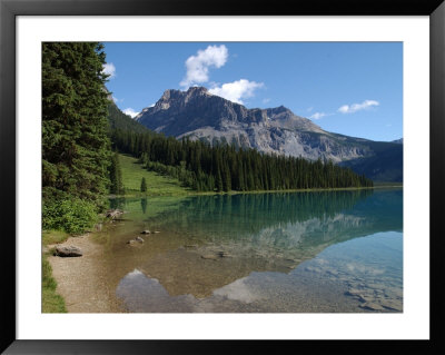 Edge Of Mountain Lake In The Canadian Rockies by Keith Levit Pricing Limited Edition Print image
