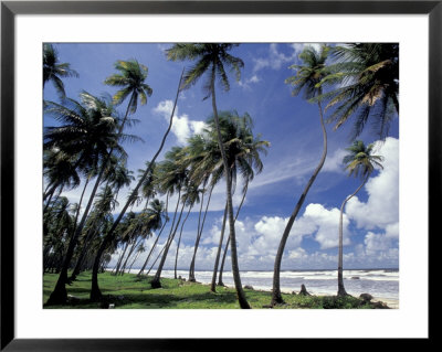 View Of Manzanilla Bay, Port Of Spain, Trinidad, Caribbean by Greg Johnston Pricing Limited Edition Print image