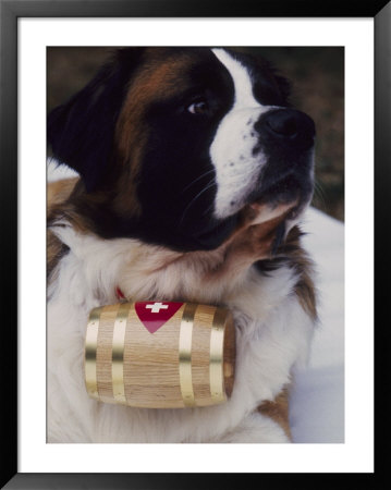 St. Bernard With Rescue Barrel by Robert Cattan Pricing Limited Edition Print image