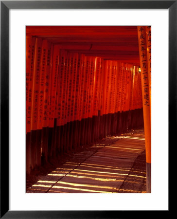 Inari Grand Shrine, Kyoto, Japan by Rob Tilley Pricing Limited Edition Print image