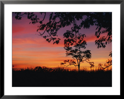 A Sunset Framed By Tree Branches by Roy Toft Pricing Limited Edition Print image