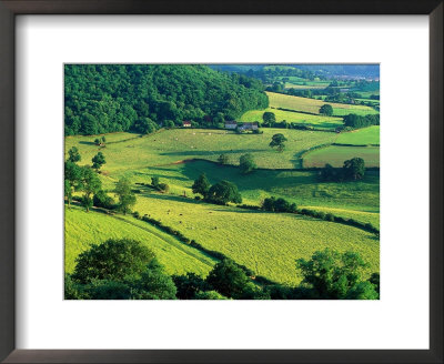 Rolling Countryside by Peter Adams Pricing Limited Edition Print image