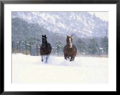 Draft Belgians With Grande Mare by Kathy Heister Pricing Limited Edition Print image