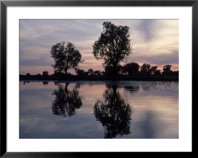 Sunrise, Yellow Water Lagoon, Kakadu, Australia by Michele Burgess Pricing Limited Edition Print image