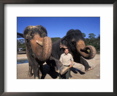 Zoo Keeper Elephant Trainer, Sanford Zoo, Florida by Bill Bachmann Pricing Limited Edition Print image