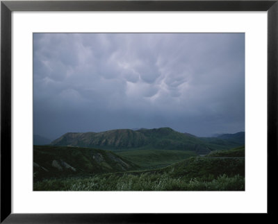 A View Of Denali National Park Under A Dramatic Gray Sky by Joel Sartore Pricing Limited Edition Print image