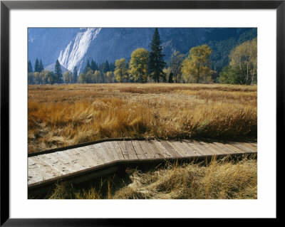 A Boardwalk Crosses A Dry Meadow In Yosemite Valley by Marc Moritsch Pricing Limited Edition Print image