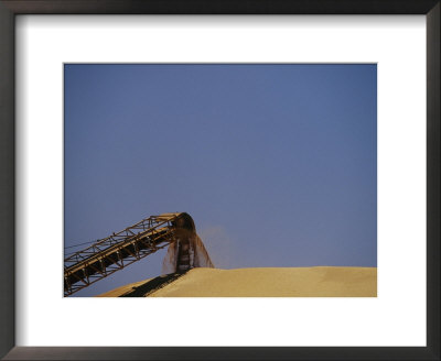 A Conveyor Belt Loads Wheat Grain Onto A Storage Mound In Moree by Jason Edwards Pricing Limited Edition Print image