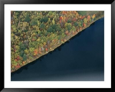 An Aerial View Of A Forest In Autumn Colors Near A Body Of Water by Heather Perry Pricing Limited Edition Print image