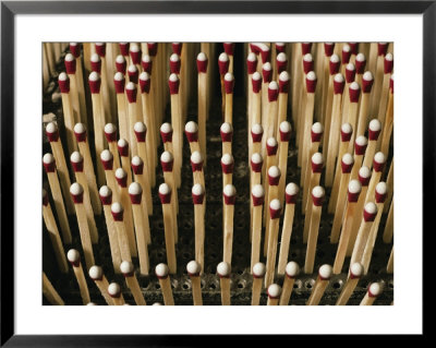Close View Of Matches Arranged Like Nails On A Bed by Ira Block Pricing Limited Edition Print image