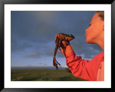 A Young Girl Plays Out A Fairy Tale As She Gets Ready To Kiss A Frog by Joel Sartore Pricing Limited Edition Print image