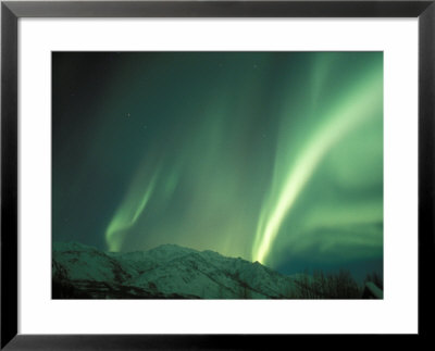 Northern Lights, Arctic National Wildlife Refuge, Alaska, Usa by Steve Kazlowski Pricing Limited Edition Print image