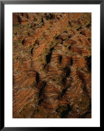 Aerial Of The Bungle Bungles, Purnululu National Park, Western Australia, Australia by Richard I'anson Pricing Limited Edition Print image