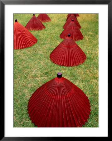 Rice Paper Umbrellas On Grass, Gifu, Japan by Martin Moos Pricing Limited Edition Print image