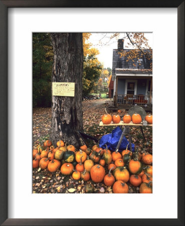 Pumpkins For Sale In New England by Bill Bachmann Pricing Limited Edition Print image