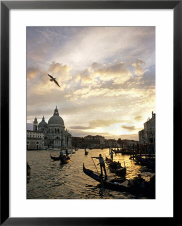 Grand Canal, Santa Maria Della Salute Church, Gondolas, Venice, Italy by David Barnes Pricing Limited Edition Print image