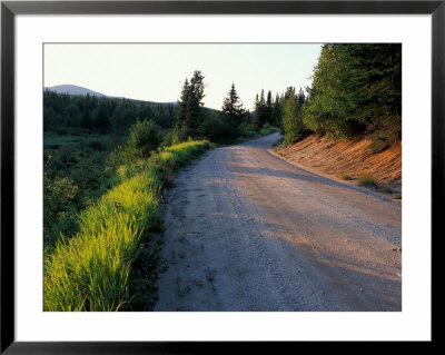 Dirt Road Through The Boreal Forest, Northern Forest, Vermont, Usa by Jerry & Marcy Monkman Pricing Limited Edition Print image