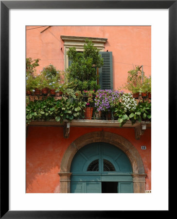 Balcony Garden In Historic Town Center, Verona, Italy by Lisa S. Engelbrecht Pricing Limited Edition Print image