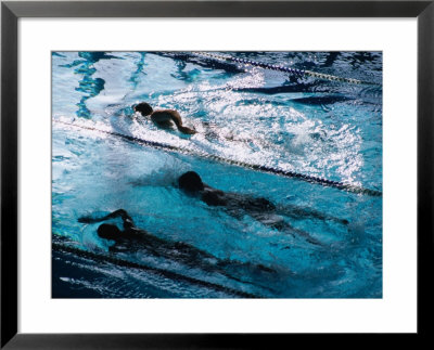 Doing Laps At Cook And Phillip Swimming Pool, Sydney, Australia by Greg Elms Pricing Limited Edition Print image