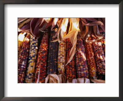 Detail Of Drying Coloured Corn At Roadside Market Near Mitchell, Mitchell, Usa by Rick Gerharter Pricing Limited Edition Print image