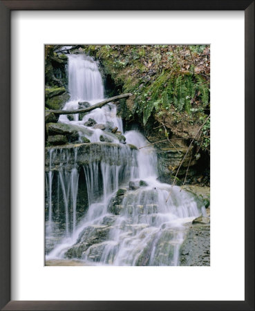 A Waterfall In The Woods by Stephen Alvarez Pricing Limited Edition Print image