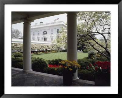 View Of The Rose Garden From The White House by Joseph H. Bailey Pricing Limited Edition Print image